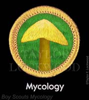 Boy_Scouts_Mycology