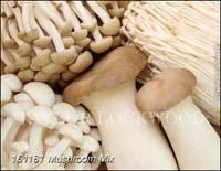 Mushroom_Mix